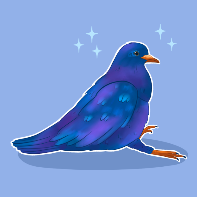 Pigeon